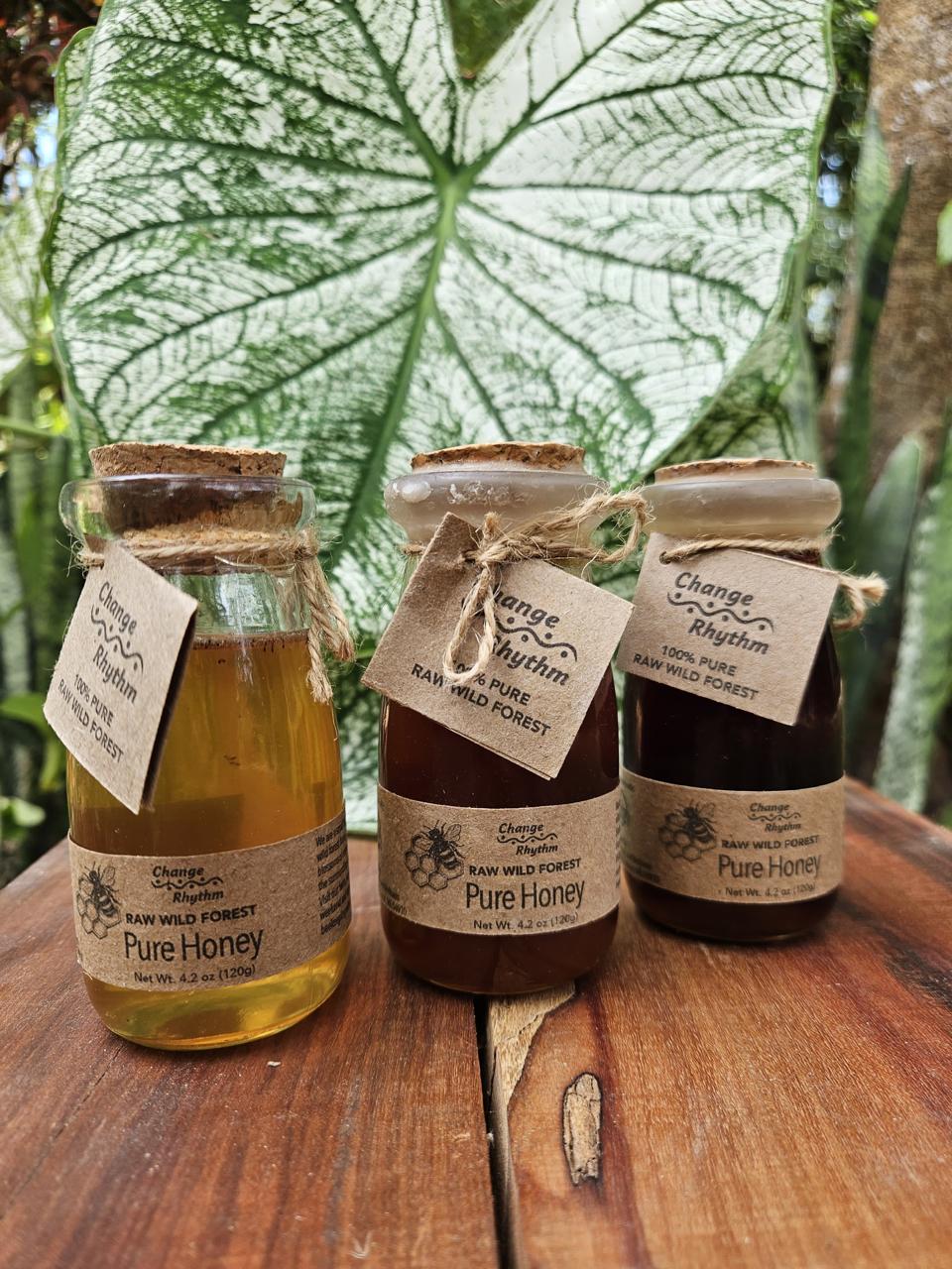 Raw Wild Forest Liquid Honey
