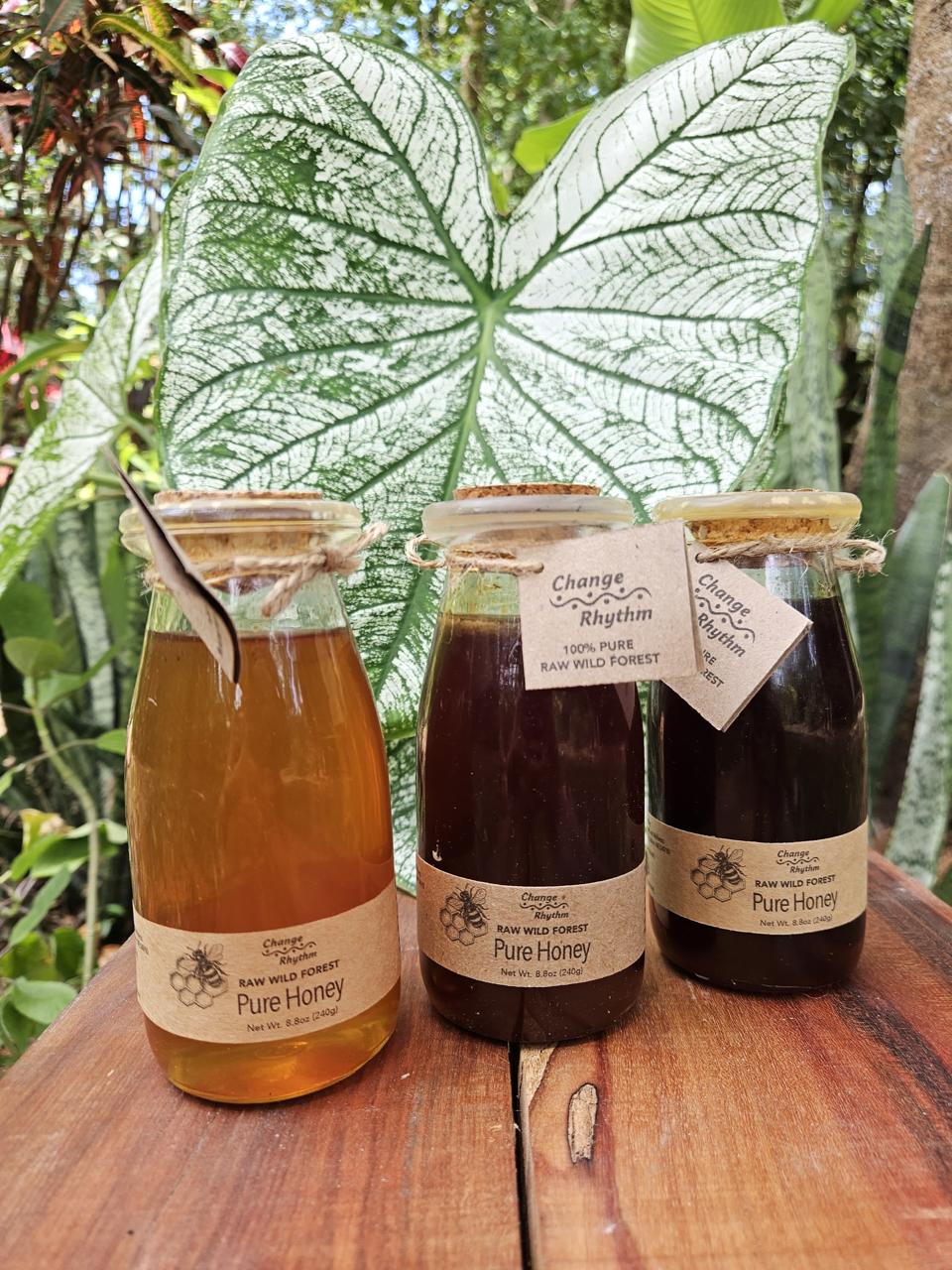 Raw Wild Forest Liquid Honey