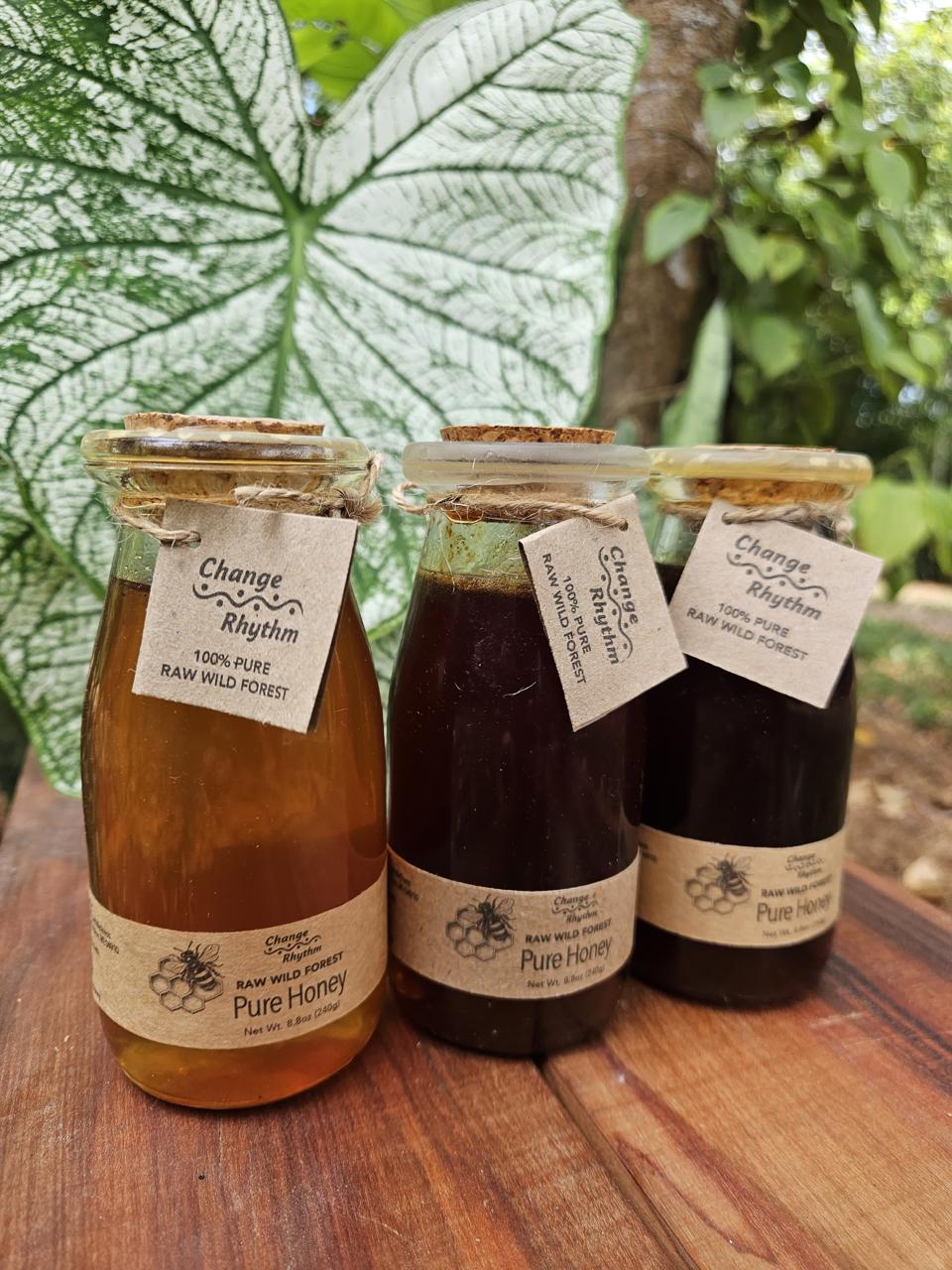 Raw Wild Forest Liquid Honey