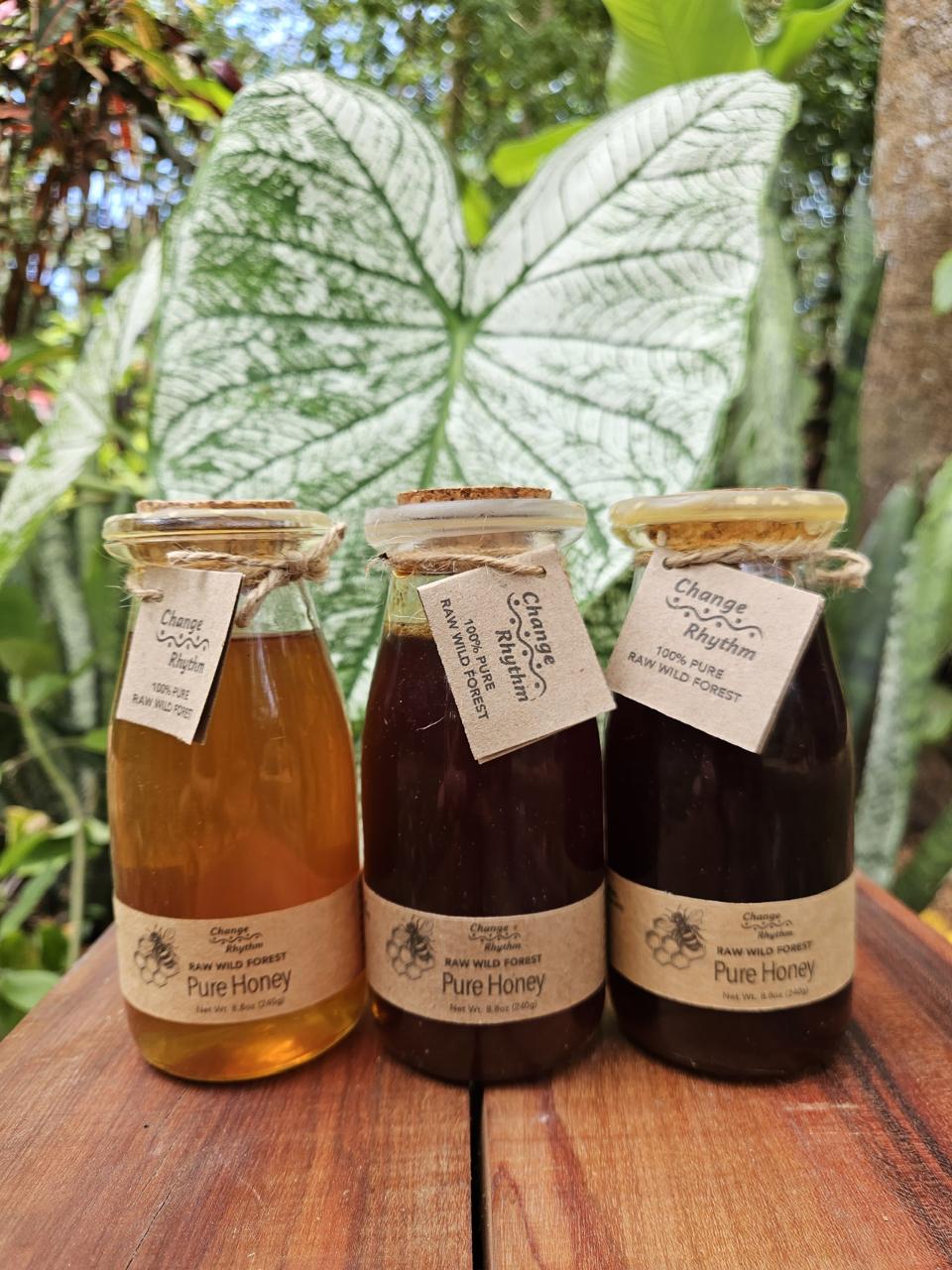 Raw Wild Forest Liquid Honey