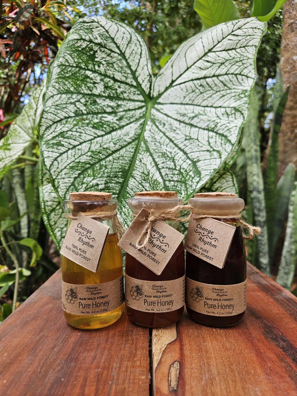 Raw Wild Forest Liquid Honey
