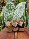 Raw Wild Forest Liquid Honey